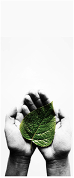 綠色環(huán)保 綠色環(huán)保